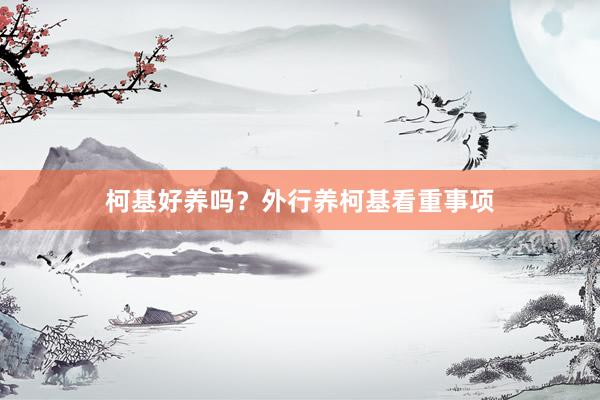 柯基好养吗？外行养柯基看重事项